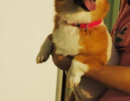 1380944786-770428386