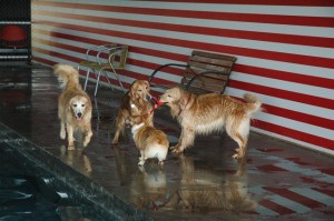 1380944788-2122807718