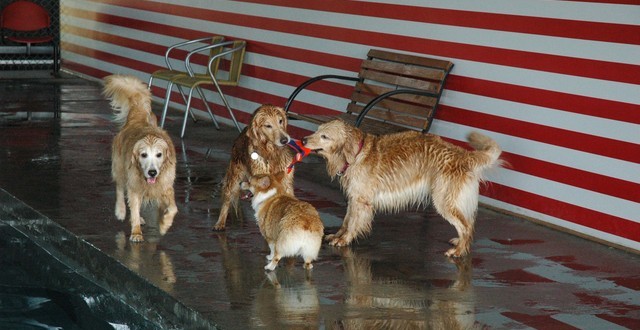 1380944788-2122807718