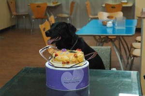 1380944813-1356778839