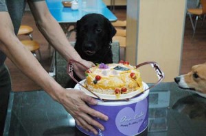 1380944813-4197516042