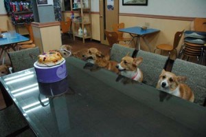 1380944814-2461593170