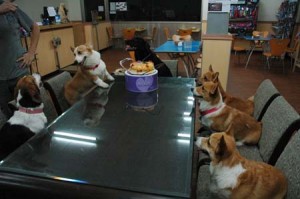 1380944814-550729457