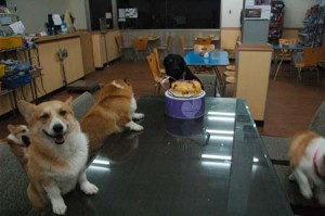 1380944815-1797480758