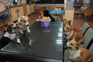 1380944815-620532787