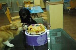 1380944816-1696392558