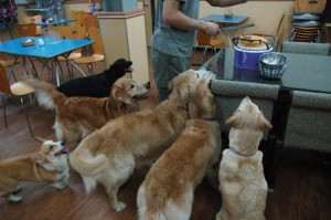 1380944816-2061987076