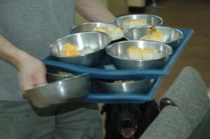 1380944817-3181389004