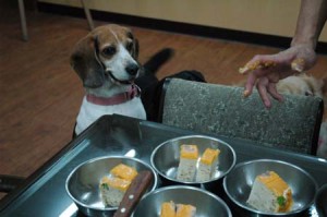 1380944817-966819289