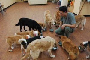 1380944818-3844396192