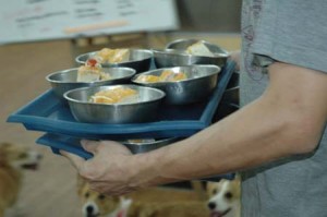 1380944818-473683278