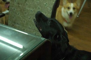 1380944819-3355124386