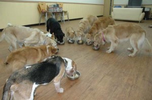 1380944819-3745313153