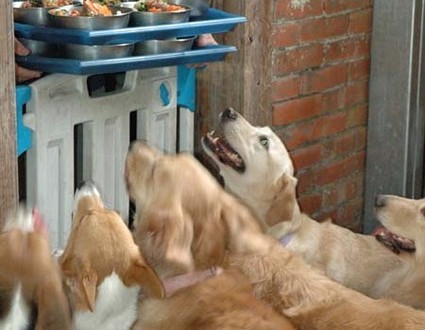 1380944826-1640038959