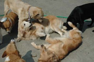 1380944827-1810626684