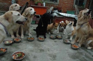 1380944827-2809707895