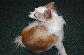 1380944839-1479089849