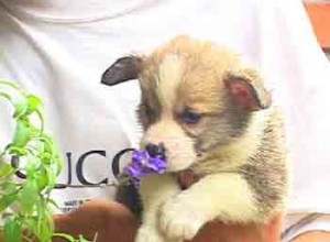 1380944840-3821782755