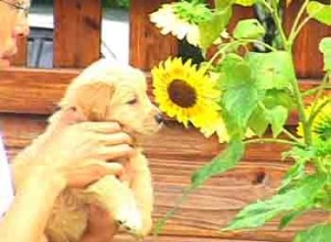 1380944840-390606931