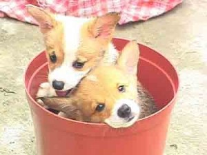 1380944841-1463639557