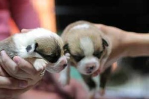 1380944841-3938799652