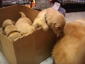 1380944842-3781368286