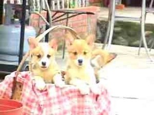 1380944842-3809178113