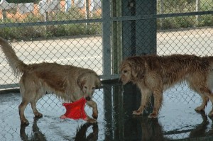 1380944852-812011623