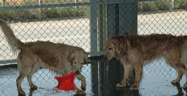 1380944852-812011623