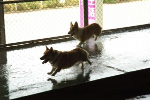 1380944852-864838431