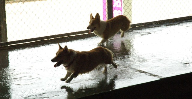 1380944852-864838431