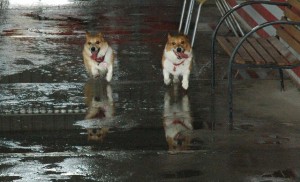 1380944853-3769839691