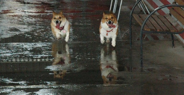 1380944853-3769839691