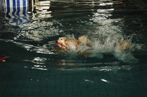 1380944853-931924863