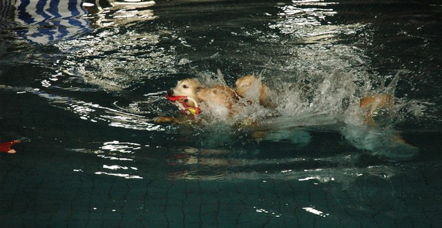 1380944853-931924863