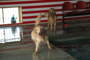 1380944854-2244709059