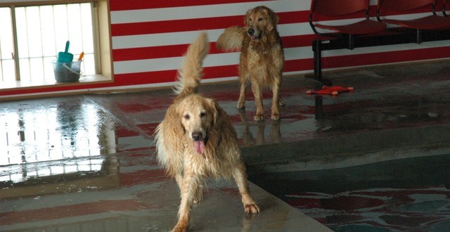 1380944854-2244709059