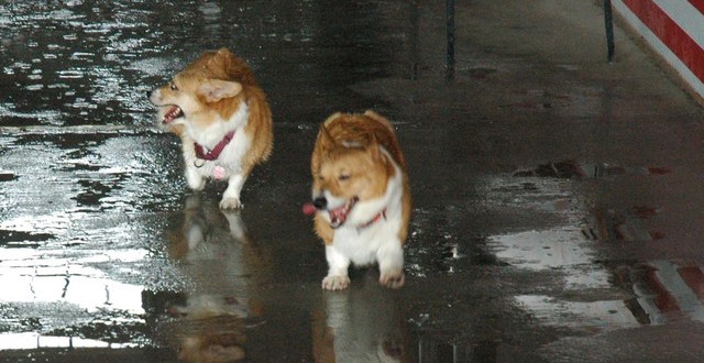 1380944854-2798511719