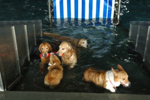 1380944855-1624725217