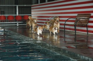 1380944855-975113210