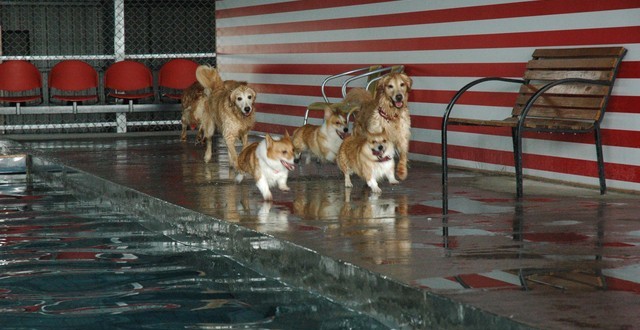 1380944855-975113210