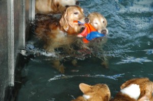 1380944855-988568693