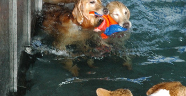 1380944855-988568693