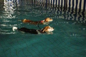 1380944856-3357155120