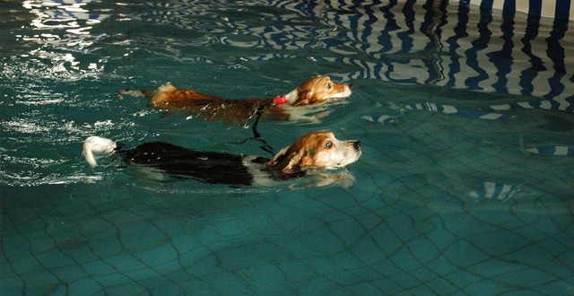 1380944856-3357155120