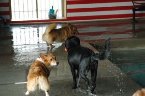 1380944856-396262033