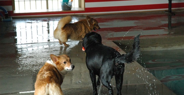 1380944856-396262033