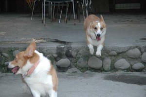 1380944879-2199969660