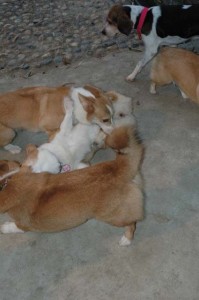 1380944879-2635853904