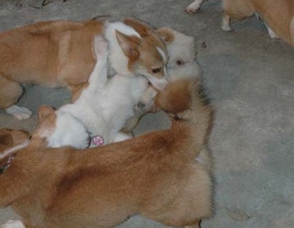 1380944879-2635853904